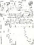 Dokumenty dotycz�ce A. Andzaurowa zgromadzone w Centralnym Archiwum Wojskowym w Warszawie (ze zb. rodzinnych).