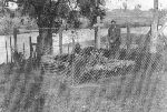 Mogi�a zbiorowa w ogrodzie Szpitala Powiatowego �w. J�zefa w Sochaczewie - miejsce pierwotnego poch�wku Boles�awa FRYSIA (za: Kraszewski T., ks.,  CARITAS. 100 lat w s�u�bie Bogu i bli�nim, Paprotnia 2003, s. 18)