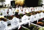 Wydzielona kwatera wojenna �o�nierzy Wojska Polskiego poleg�ych we wrze�niu 1939 r. - cm. rz-kat. w Modlnej. W�r�d poleg�ych upami�tnionych – Antoni Stefa�czuk. Stan z dn. 01.11. 2011 r. [fot. Staszek S�omczy�ski "staahoo"(��d�)].