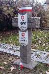 Ppor. W�adys�aw Drewnikowski upami�tniony na imiennej tabliczce epitafijnej na jednej z mogi� zbiorowych kwatery wojennej na cmentarzu parafialnym w Kie�pinie. Stan na 13. 11. 2016 r. (fot. Tomasz Krzy�anowski).