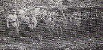 Je�cy ukrai�scy,wzi�ci do niewoli pod Jaz�owcem.
Czwarty od lewej wachmistrz Bronis�aw Gadzin.
