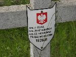 J�zef Kanarecki upami�tniony (jako J�zef Konarecki) na imiennej tabliczce epitafijnej na jednej z mogi� zbiorowych cmentarza wojennego w Laskach, Stan z dn. 26 maja 2010 r. (fot. Leszek Gach).