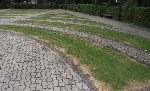 Strz. Miko�aj Antoniuk – miejsce spoczynku, pola grobowe wydzielonej kwatery wojennej �o�nierzy WP poleg�ych we wrze�niu 1939r. – Cm. Par. Rzymskokatolickiej pw. �w. Andrzeja Aposto�a w ��czycy. (fot. Zbigniew Adamas, w dn. 08.09.2011r.)