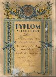 Dyplom strzelecki przyznany sier�. J�zefowi Gruszewiczowi wraz z tytu�em strzelca wyborowego z kb i �etonem przez dow�dc� 18 pu�ku piechoty w Skierniewicach, 1937/1938 r. (dok. ze zb. rodzinnych).