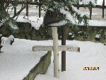 Brzozowy krzy� z zamocowanym he�mem stalowym przy mogile zbiorowej na cmentarzu parafialnym w �leszynie, miejscu spoczynku szer. Boles�awa Osowskiego. Stan z dn. 17. 01. 2014 r. (fot. Gabriel S�dkowski).