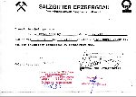 Kopia za�wiadczenia o pracy niewolniczej Antoniego Nadolnego w latach 1940-1945 wystawionego 10 maja 1982 r. przez Salzgitter Erzbergbau Verm�gensvwerwaltungsgesellschaft mbH sporz�dzona 1 pa�dziernika 1994 r. przez Zarz�d Wojew�dzki w Zielonej G�rze Stowarzyszenia Polak�w Poszkodowanych przez III Rzesz� Niemieck� (dok. z Archiwum Rodziny Nadolnych, udost�pni�a Bo�ys�awa Nadolna).