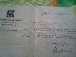 Pismo Niemieckiego Czerwonego Krzy�a do Heleny Mehr w Krzemieniewie z 18 stycznia 1941 r. z zawiadomieniem o �mierci jej syna, szer. J�zefa Mehra (dok. ze zb. rodzinnych).