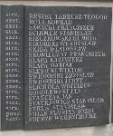 Florian Sujak upami�tniony na jednej ze zbiorczych imiennych tablic pami�tkowych w obr�bie kwatery wojennej na cm. parafialnym w Rawie Mazowieckiej, ul. Tomaszowska. Stan z dn. 07. 02. 2011 r. (fot. Mariusz Kwapisz).