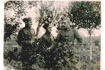 Mieczys�aw Nowakowski z kolrgami jako �o�nierz Wojska Polskiego, przed wrze�niem 1939 r. (fot. ze zb. rodzinnych).