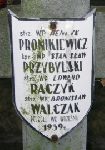 Stanis�aw Przybylski upami�tniony na imiennej tabliczce epitafijnej na jednej z mogi� zbiorowych kwatery wojennej na cmentarzu parafialnym w Juliopolu. Stan z dn. 18 grudnia 2004 r. (fot. Marcin Prengowski).