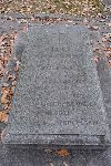 fot. Wies�aw Paluchowski, stan na 18.11.2011