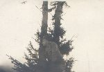 Ppor. Edward Lankamer w czasie s�u�by w 4 Pu�ku Artylerii Lekkiej w Inowroc�awiu, 1938/1939 r. (fot. ze zb. rodzinnych).