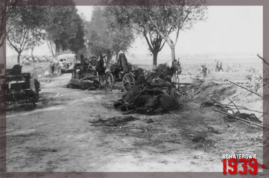Pole bitwy nad Bzur� 1939 r. - Ruszki, gm. M�odzieszyn, pow. sochaczewski (fot. ze zb. Andrzeja Kornackiego).