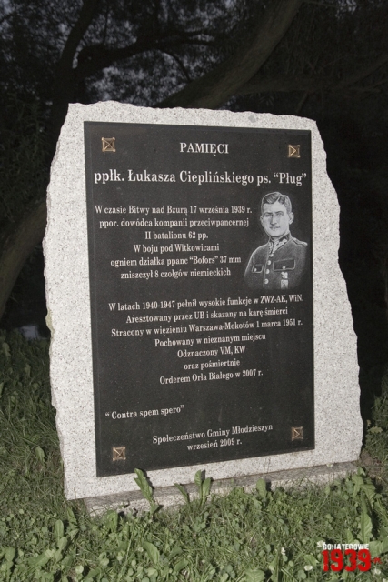 Po�wi�cona pp�k. �ukaszowi Ciepli�skiemu tablica pami�tkowa w Witkowicach, gm. M�odzieszyn (fot. �. Wojtczak).