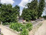 Wieniec, mogi�a zbiorowa. Stan z dn. 23. 05. 2011 r. (fot. Zbigniew Adamas).
