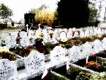 Modlna, kwatera wojenna. Stan z dn. 01.11. 2011 r. [fot. Staszek S�omczy�ski "staahoo"(��d�)].