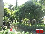 Pruszk�w, ul. Cmentarna, kwatera wojenna. Stan z dn. 28. 06. 2012 r. (fot. Tomasz Karolak).