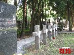 B�onie, ul. Towarowa, mogi�a zbiorowa. Stan z dn. 05. 07. 2012 r. (fot. Tomasz Karolak).