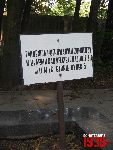B�onie, ul. Towarowa, mogi�a zbiorowa. Stan z dn. 05. 07. 2012 r. (fot. Tomasz Karolak).