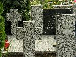 Niesu�k�w, mogi�y zbiorowe. Stan z dn. 30. 07. 2012 r. [fot. Staszek S�omczy�ski "staahoo" (��d�)].