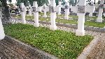 Kutno, ul. Cmentarna, kwatera wojenna (fot. Urz�d Miasta Kutno).