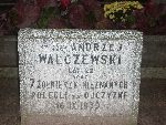 �ychlin, Al. Rac�awickie, kwatera wojenna (fot. T. Fija�kowski).