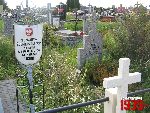 Borz�cin Du�y, kwatera wojenna. Stan z dn. 31. 08. 2011 r. (fot. Tomasz Karolak).