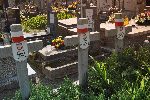 Brwin�w, ul. Powsta�c�w Warszawy, kwatera wojenna (fot. K. Bielawski / "Wirtualny Sztetl" - www.sztetl.org.pl).