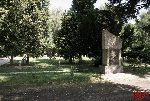 fot. �. Wojtczak