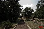 fot. �. Wojtczak