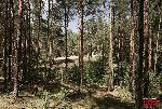 fot. �. Wojtczak