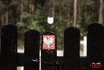fot. �. Wojtczak