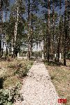 fot. �. Wojtczak