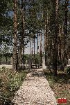 fot. �. Wojtczak