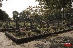 Szyman�w, kwatera wojenna (fot. �. Wojtczak)