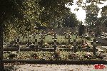 Szyman�w, kwatera wojenna (fot. �. Wojtczak)