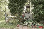 Paw�owice, kwatera wojenna (fot. �. Wojtczak)