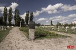 Sochaczew - Trojan�w, cmentarz wojenny (fot. �. Wojtczak)