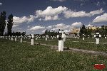 Sochaczew - Trojan�w, cmentarz wojenny (fot. �. Wojtczak)