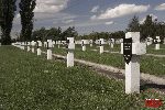 Sochaczew - Trojan�w, cmentarz wojenny (fot. �. Wojtczak)