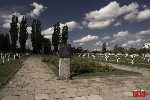 Sochaczew - Trojan�w, cmentarz wojenny (fot. �. Wojtczak)