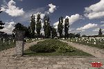 Sochaczew - Trojan�w, cmentarz wojenny (fot. �. Wojtczak)