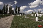 Sochaczew - Trojan�w, cmentarz wojenny (fot. �. Wojtczak)