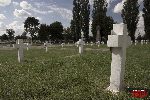 Sochaczew - Trojan�w, cmentarz wojenny (fot. �. Wojtczak)
