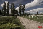 Sochaczew - Trojan�w, cmentarz wojenny (fot. �. Wojtczak)