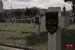 Sochaczew - Trojan�w, cmentarz wojenny (fot. �. Wojtczak)