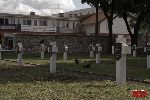 Sochaczew - Trojan�w, cmentarz wojenny (fot. �. Wojtczak)