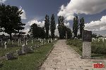Sochaczew - Trojan�w, cmentarz wojenny (fot. �. Wojtczak)