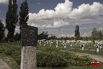 Sochaczew - Trojan�w, cmentarz wojenny (fot. �. Wojtczak)