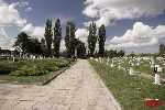 Sochaczew - Trojan�w, cmentarz wojenny (fot. �. Wojtczak)